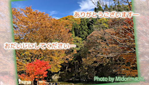 太平調剤薬局　2022年10月