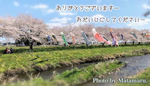 太平調剤薬局　2023年5月