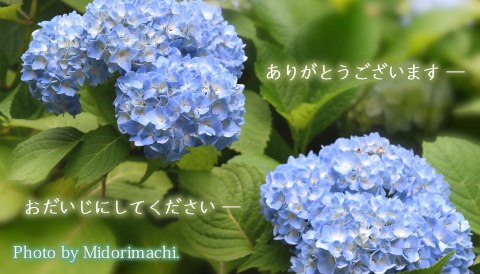 太平調剤薬局　2023年6月