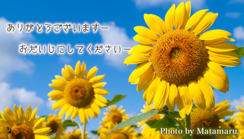 太平調剤薬局　2023年7月