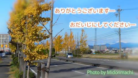 太平調剤薬局　2023年10月