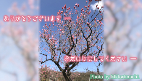 太平調剤薬局　2025年3月
