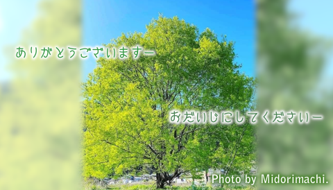 太平調剤薬局　2025年5月