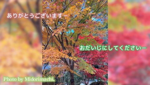 太平調剤薬局　2025年9月