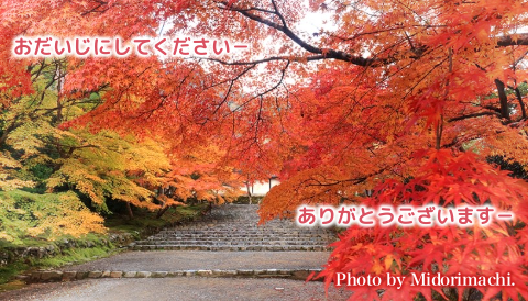 太平調剤薬局　2025年11月