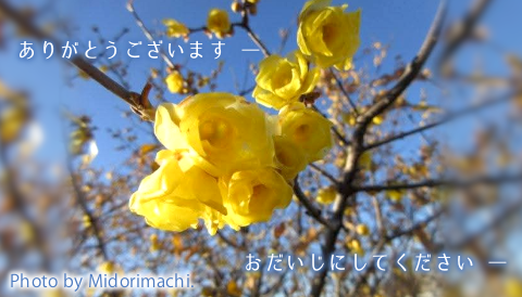 太平調剤薬局 2026年2月