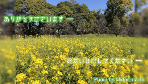 太平調剤薬局 2026年3月