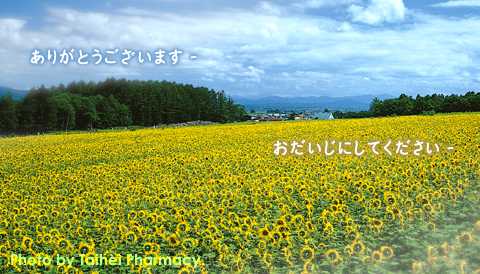 太平調剤薬局 2026年8月