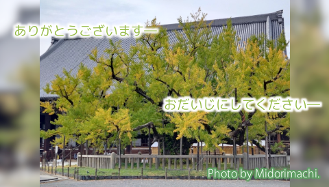 太平調剤薬局　2026年10月